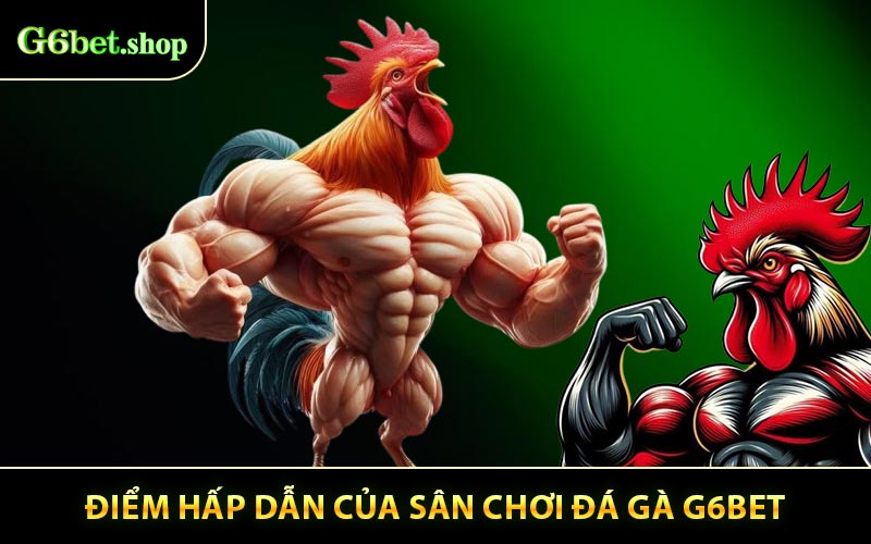 Ưu Điểm Nổi trội Của Sảnh Cược Đá Gà G6BET