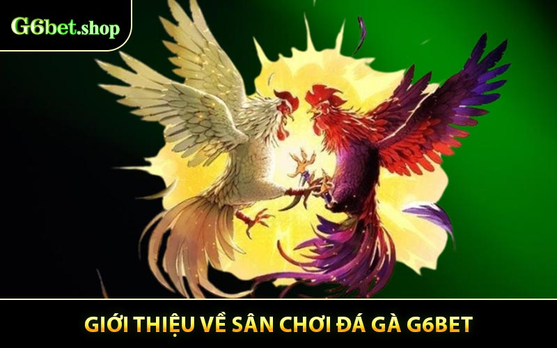 Đôi Nét Về Sảnh Cược Đá Gà G6BET