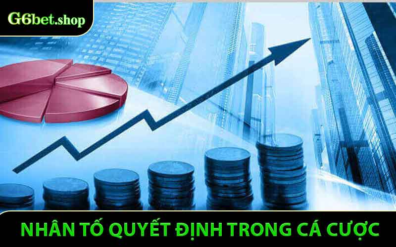 Kỷ luật và tâm lý - nhân tố quyết định thành bại trong Chiến lược quản lý vốn khi cá cược